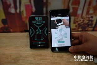 四川熊貓 烏木亮相大陸臺資企業產品展銷會