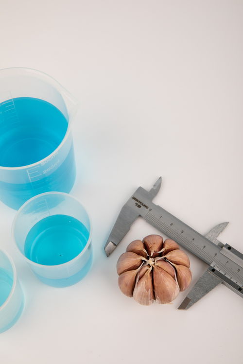 大蒜食品安全農業科技食品培育攝影圖 插畫 下載至來源處